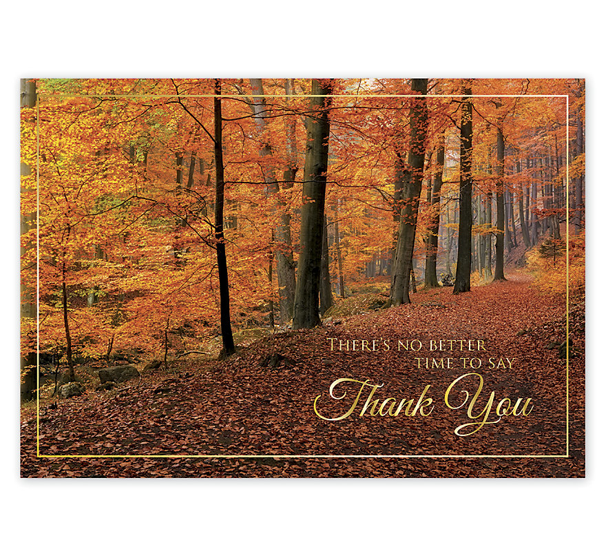 Custom printed Thanksgiving card reflecting a beautiful woodland scenery.