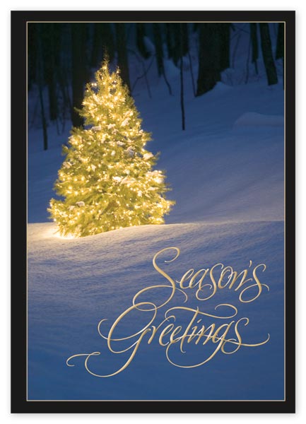 Budget holiday card with magical and shimmering evergreen images with personalization options

