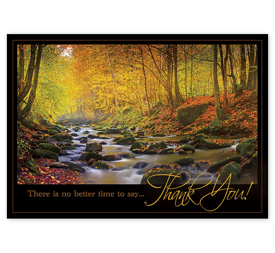 Custom printed Thanksgiving cards reflecting a water stream in a forest with vibrant colors.
