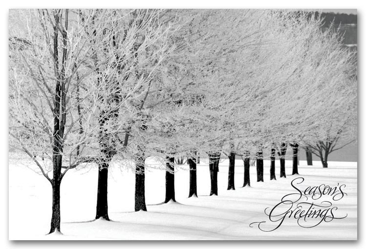 HPC0905 - Personalized Holiday Postcards Printing, Winter Scene