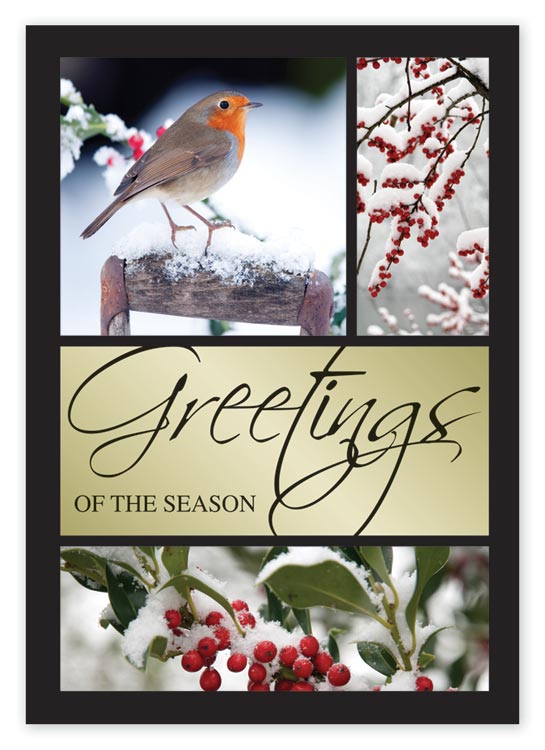 Budget Holiday cards with a berry bird imagery and personalization options
