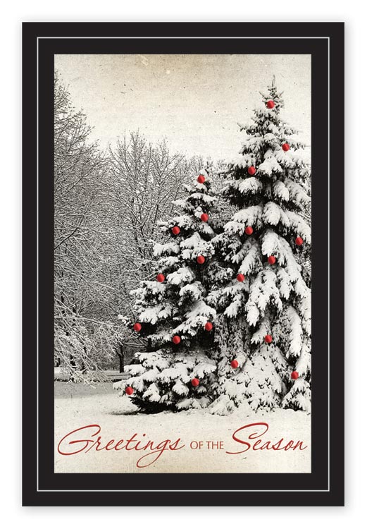Custom printed holiday postcard picturing two snow-covered Christmas trees.