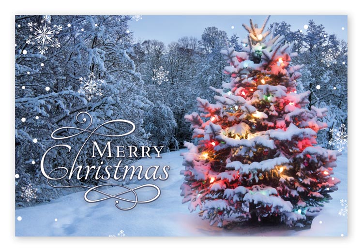 Christmas postcard showcasing a single lit Christmas tree in a magical enchanted winter forest scene.