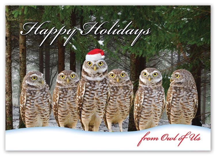 Budget holiday card with owl of us image and imprint limited to black ink

