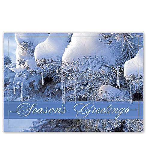 This gorgeous card embodies the feeling of winter. Personalize with your own message.