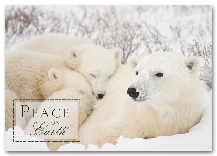 HS1313 - Custom Holiday Cards | Polar Bears Holiday Cards