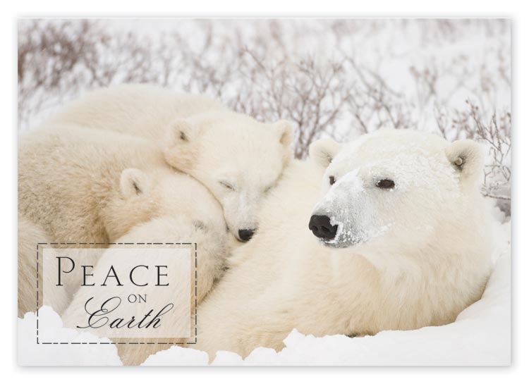 Budget friendly cards with togetherness polar bear image and imprint limited to black ink
