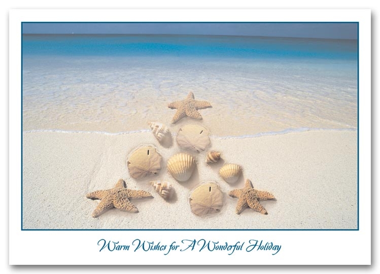 H58856 - Tropical Holiday Cards - Festive Shoreline