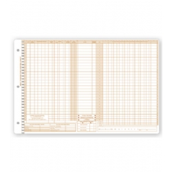 Daily Control Sheets, Pegmaster, Payment