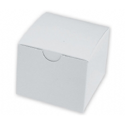 Model-Box-Single-White