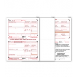 Blank Laser W-2 Tax Forms, 2-Up