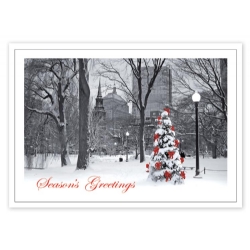 HP14305, Boston Splendor Christmas Cards
