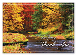 HP14319, Splashes Of Color Thanksgiving Cards