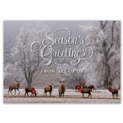 Holiday Card with 8 Deer in Forest
