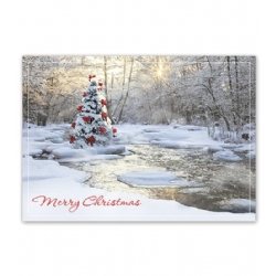 Hoilday Card-Tranquil Christmas