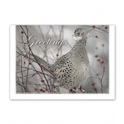 Holiday Card- Feathered Friend