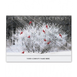 Bird Holiday Cards White Holographic Pin Dots And Red Cardinals