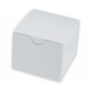 Model-Box-Single-White