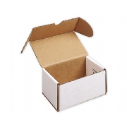 Dental Mailing Model Box