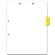 Preprinted Color-Coded Chart Dividers - Lab/X-Ray Tab