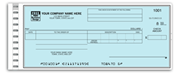 Checks for One-Write Payroll & Disbursement Systems