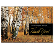 Amber Appreciation Thanksgiving Cards 